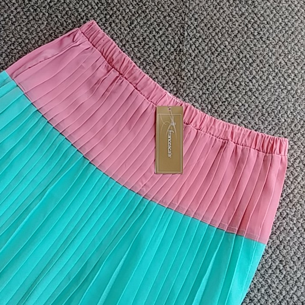 Francesca's skirt